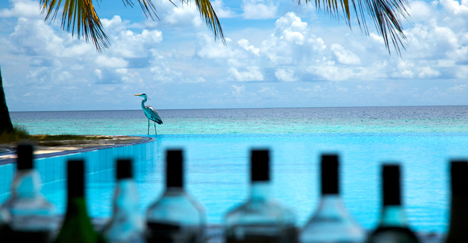 Malediven Alkohl Verbot