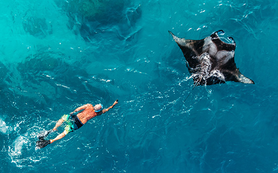 Schnorcheln mit Mantas auf Inselhopping Malediven